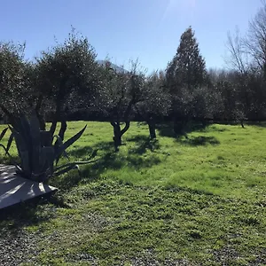 L Olivo Casa vacanze Lucca